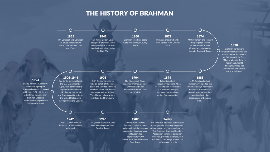 history